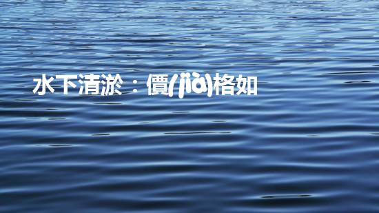 水下清淤：價(jià)格如何算？